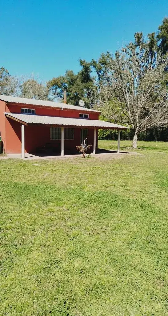 El parque del predio con árboles altos
